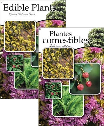 Edible Plants/Plantes comestibles 24