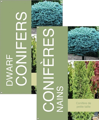 Dwarf Conifers/Conifères nains 24
