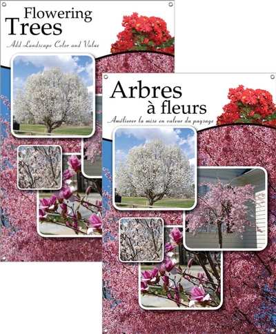 Flowering Trees/Arbres à fleurs 24