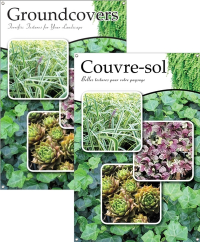 Groundcovers/Couvre-sol 24