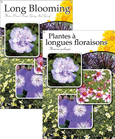 Long Blooming/Plantes à longues floraisons 24