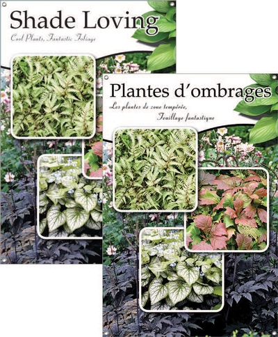 Shade Loving/Plantes d'ombrages 24