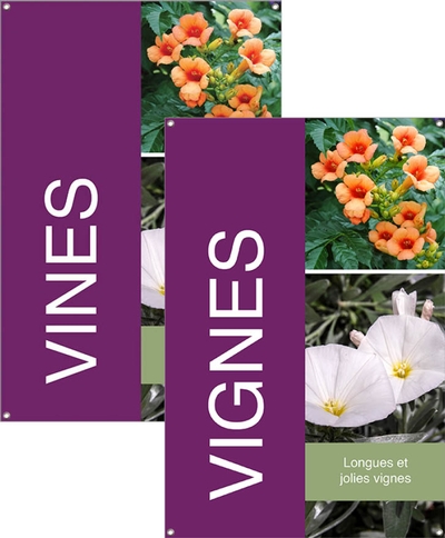 Vines/Vignes 24