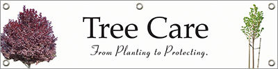 Tree Care 48