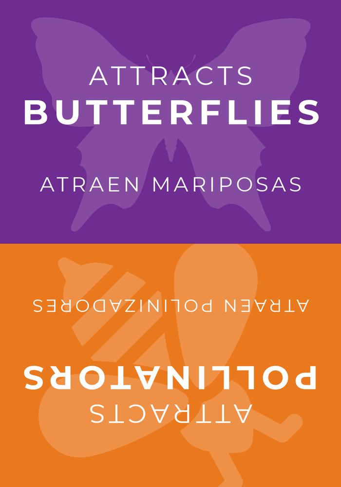 Sign Topper: Attracts Butterflies / Attracts Pollinators