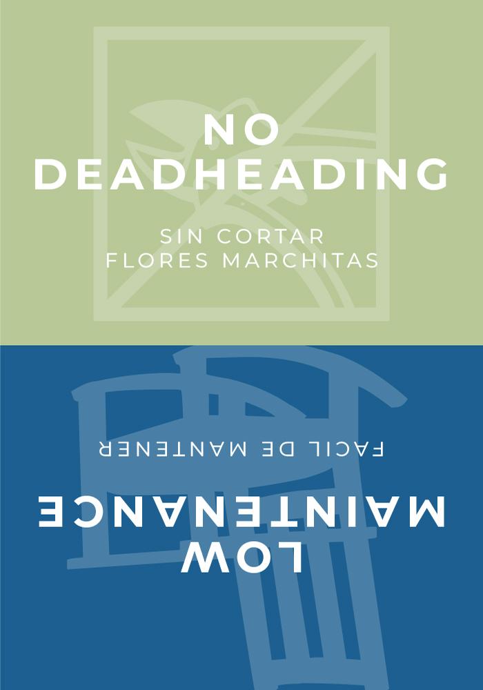Sign Topper: No Deadheading / Low Maintenance