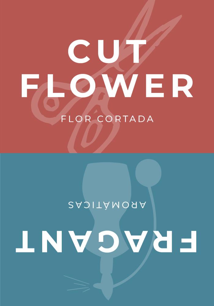 Sign Topper: Cut Flower / Fragrant