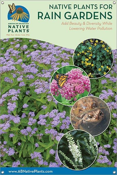 Native Plants for Rain Gardens-MID-ATLANTIC 24