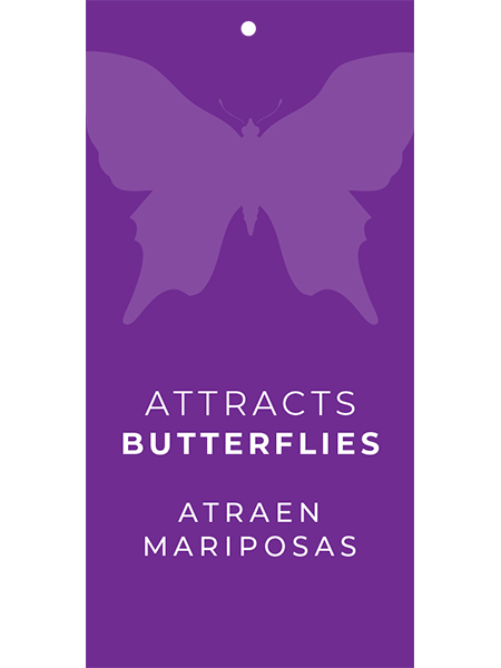 Attracts Butterflies Hang Tags