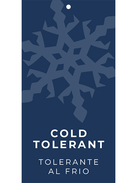 Cold Tolerant Hang Tags