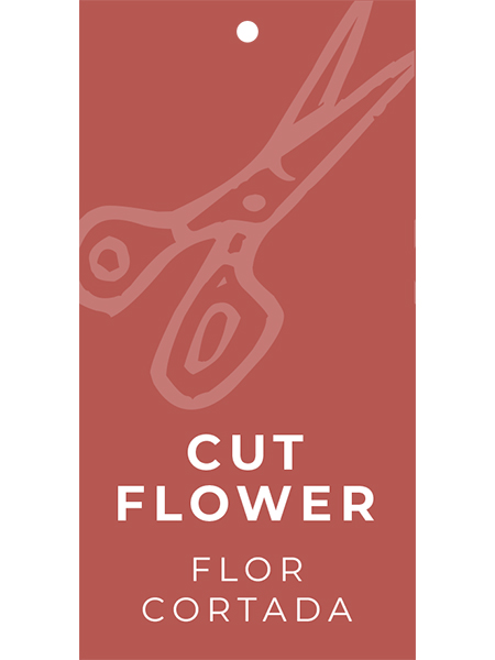Cut Flower Hang Tags