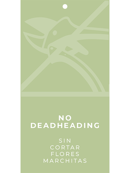 No Deadheading Hang Tags